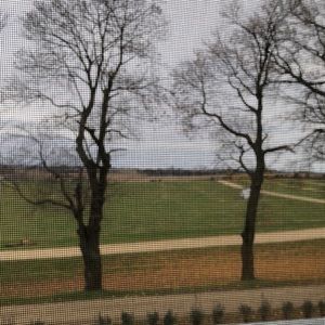 Meet your Posher, Liana